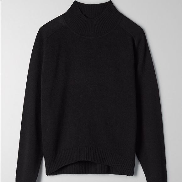 Aritzia Babaton Perry Turtleneck 